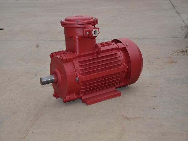 粉塵防爆電動(dòng)機(jī)